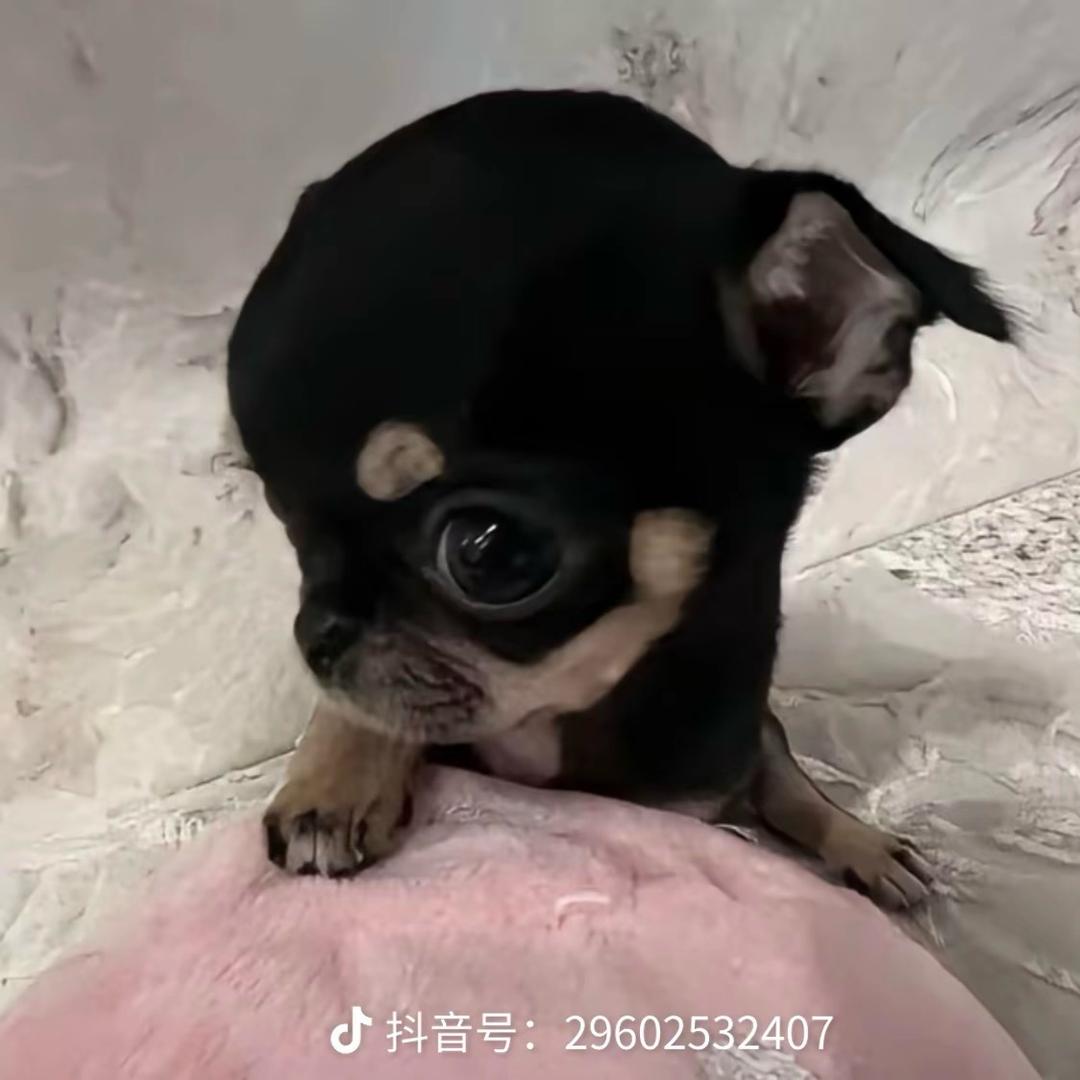 哎呦