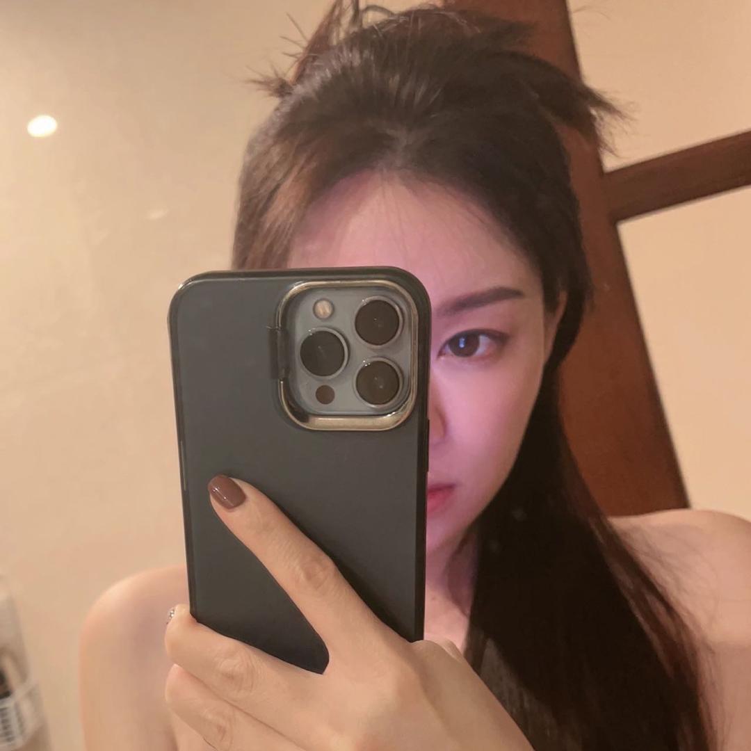 段清雅