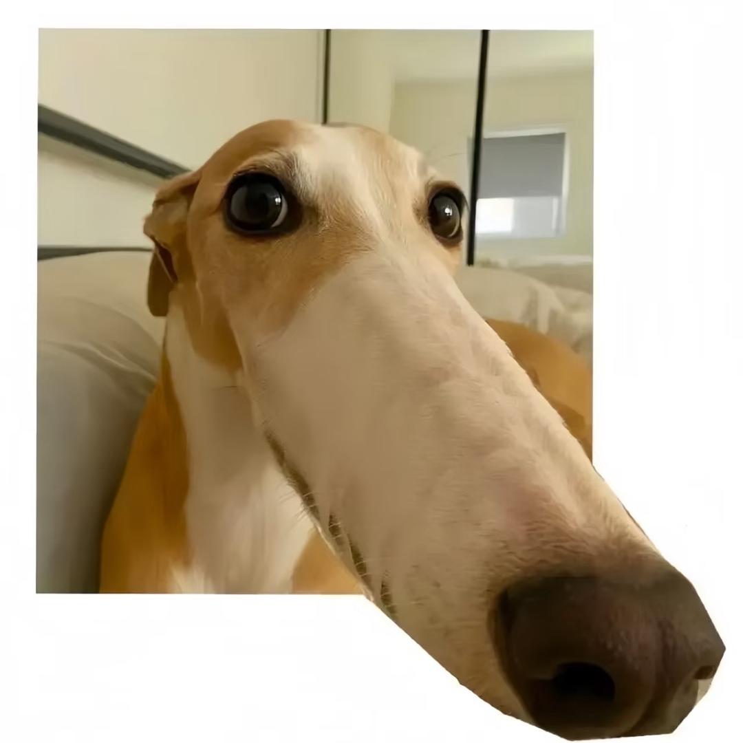 X honey