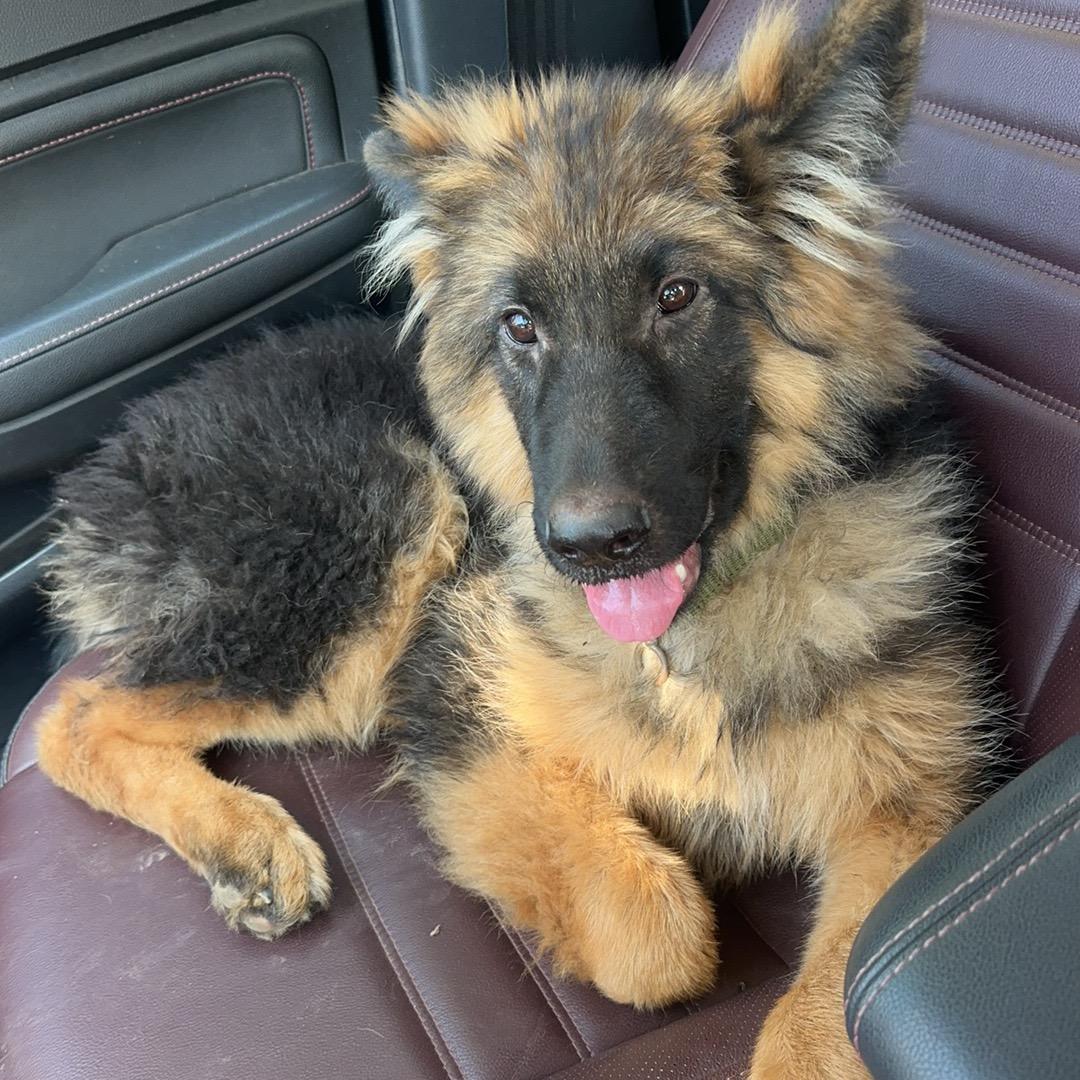 ₍˄·͈༝·͈˄*₎◞ ̑̑余生🐟🐟