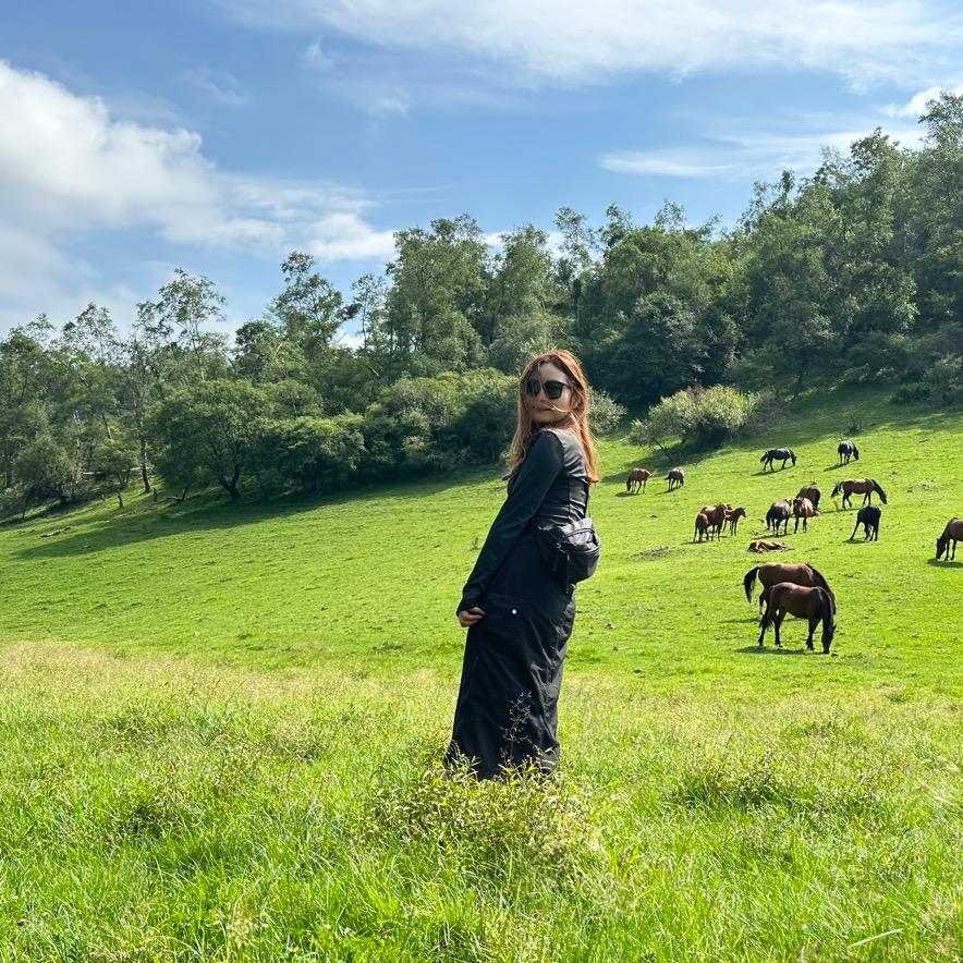 李木木（请勿连赞）