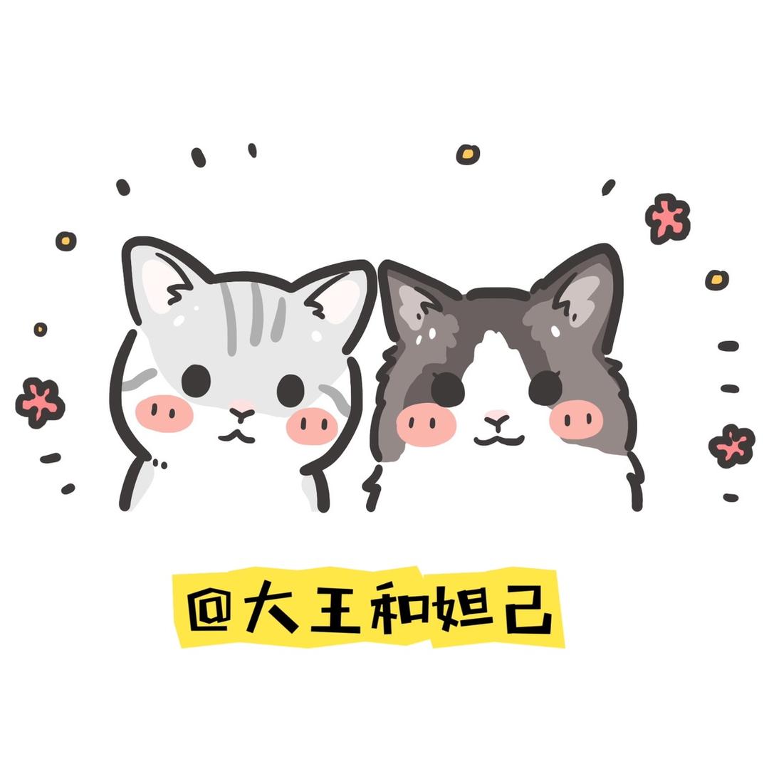 大王和妲己