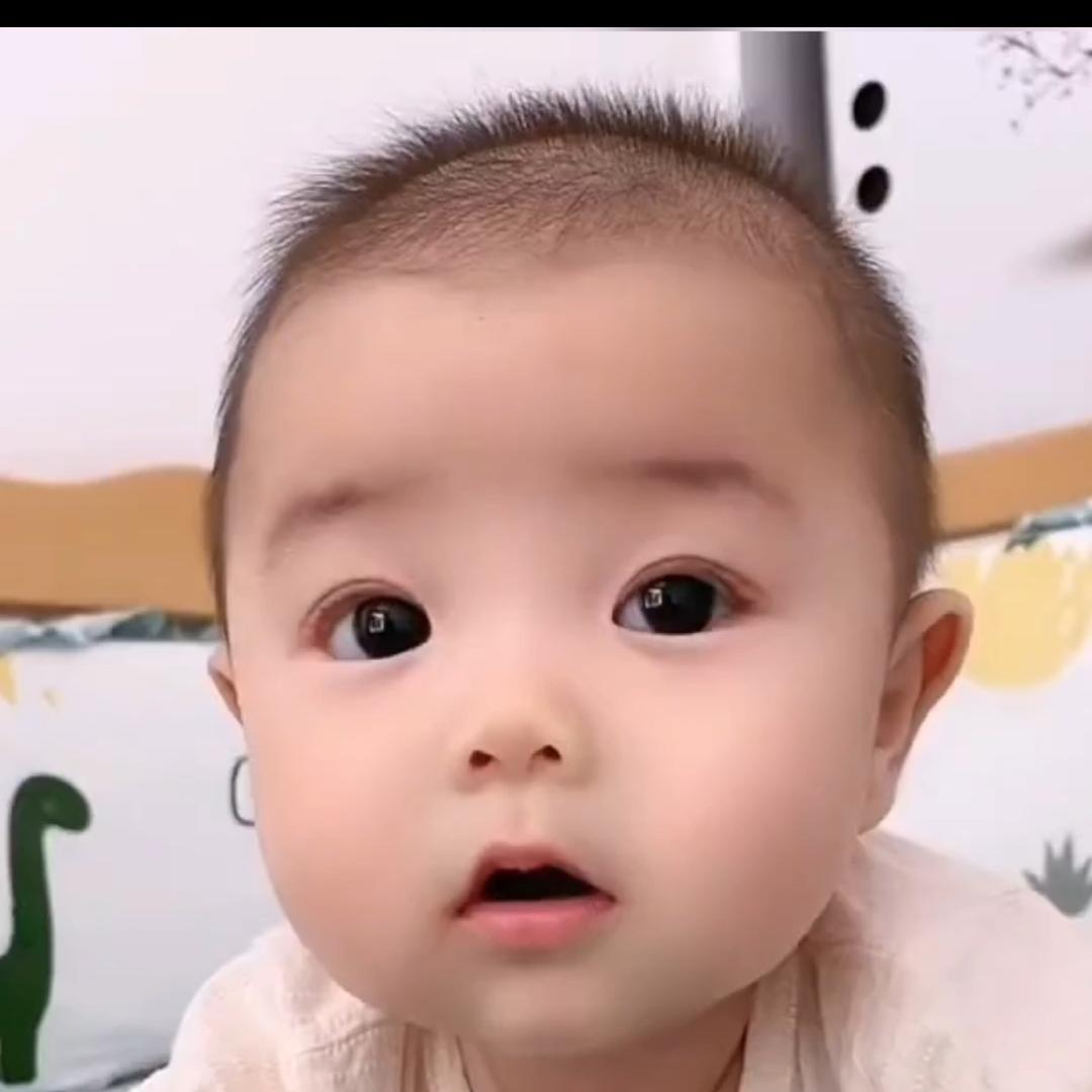 伊伊爱学习