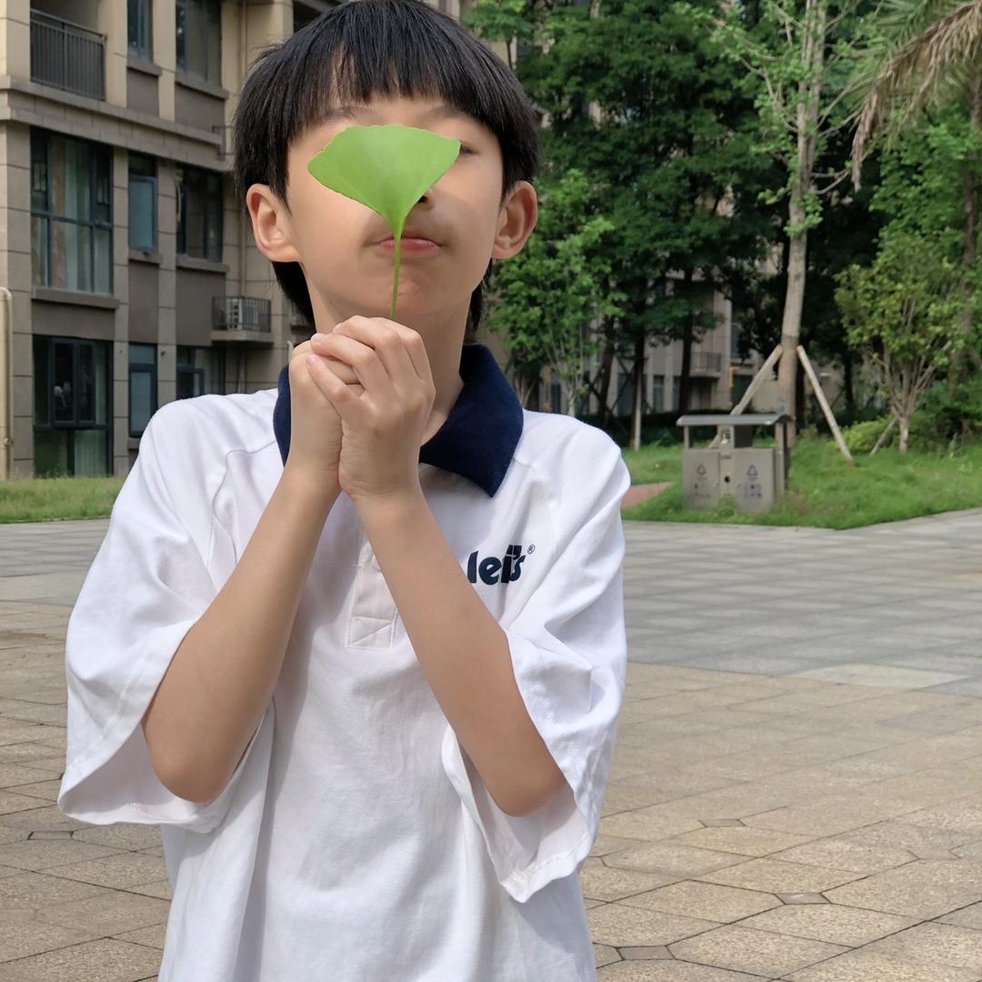 小晨同学