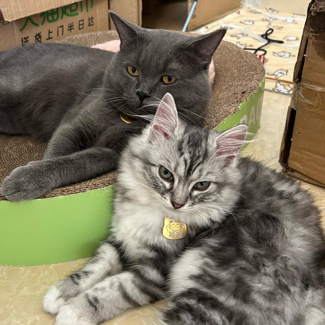 抖音用户567543378