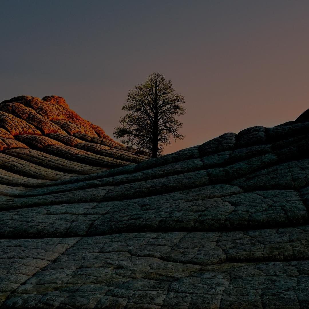 康婷正品共享店铺