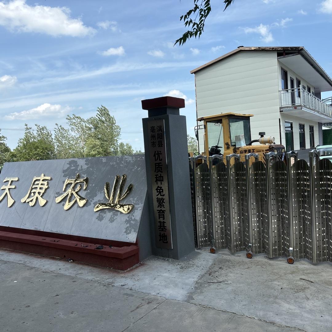 甄友胃兔肉食品