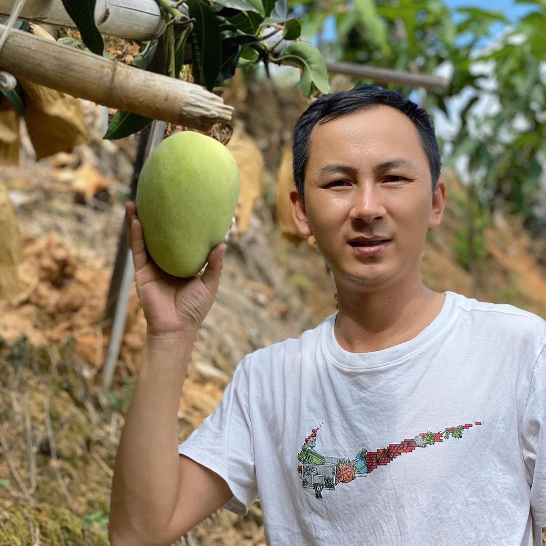 李鑫农资企业店