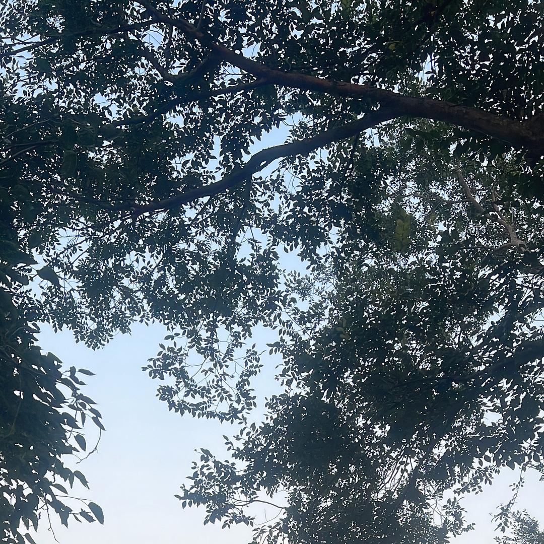 鑫宇恒