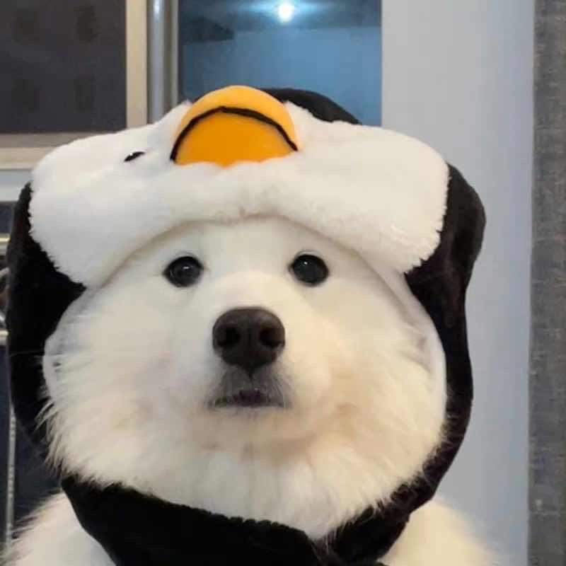 闪现到你怀里