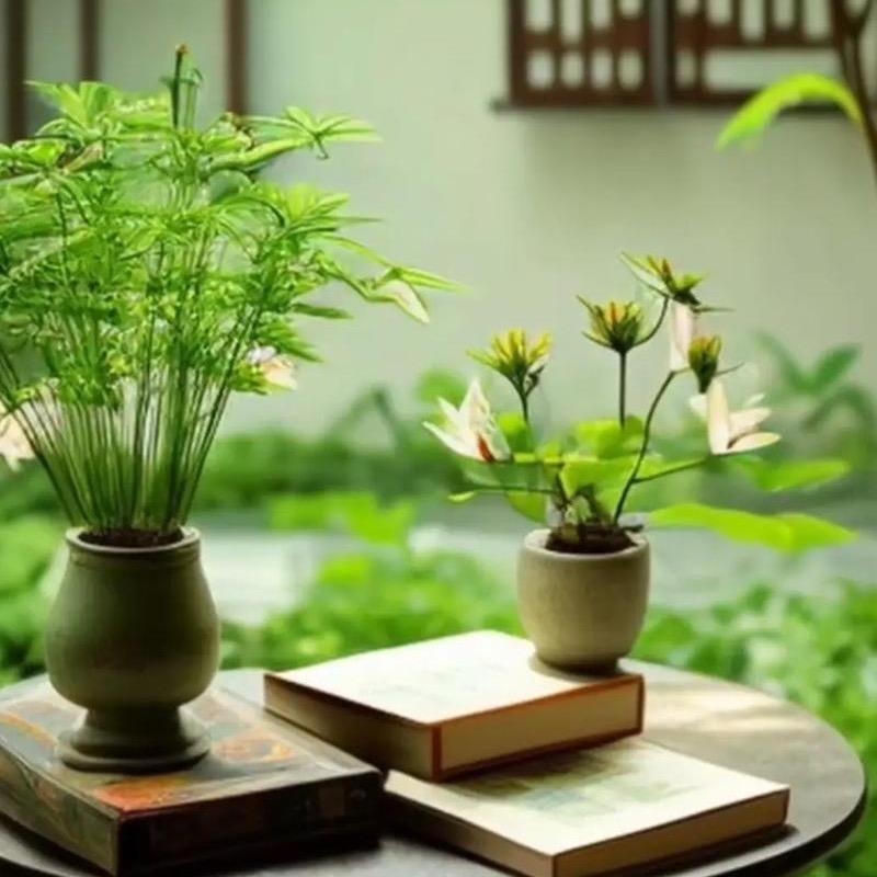 佛至福来