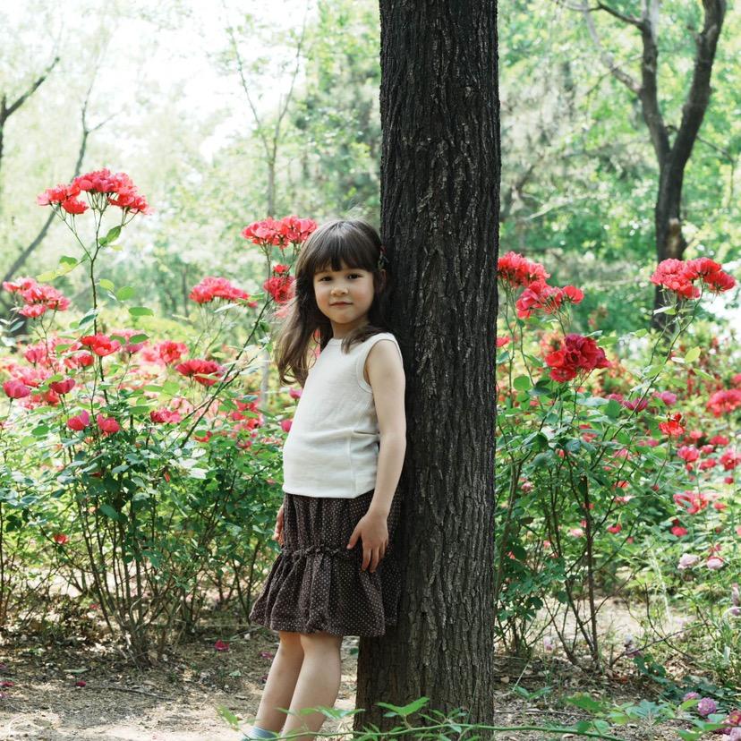 floretforest美利奴羊毛