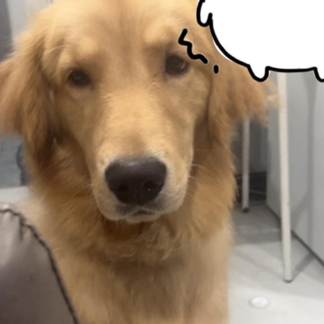 小七一生平安