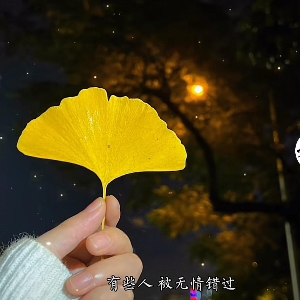 ,拾柒