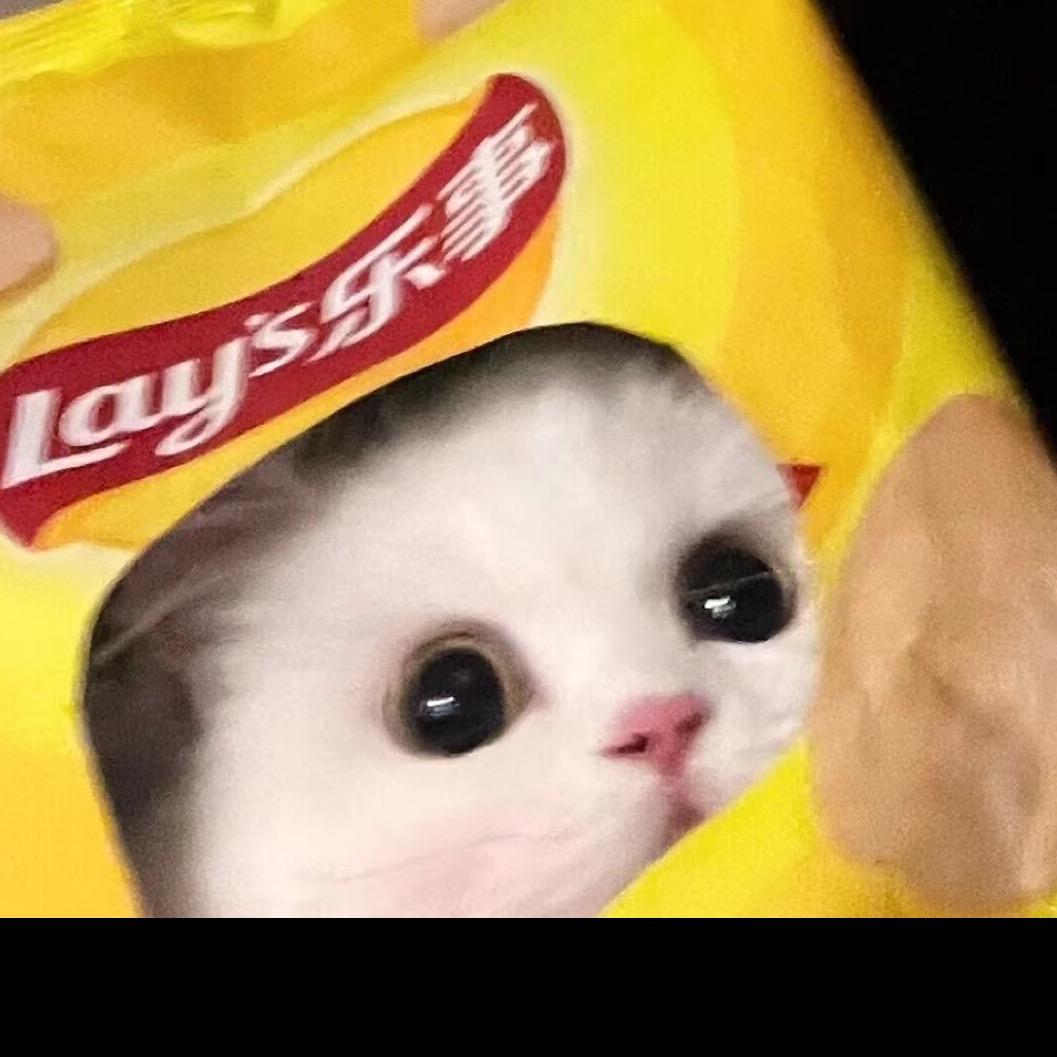 冬天不想起床