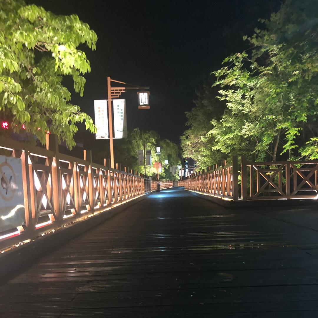 俄罗斯钓鱼4-空城