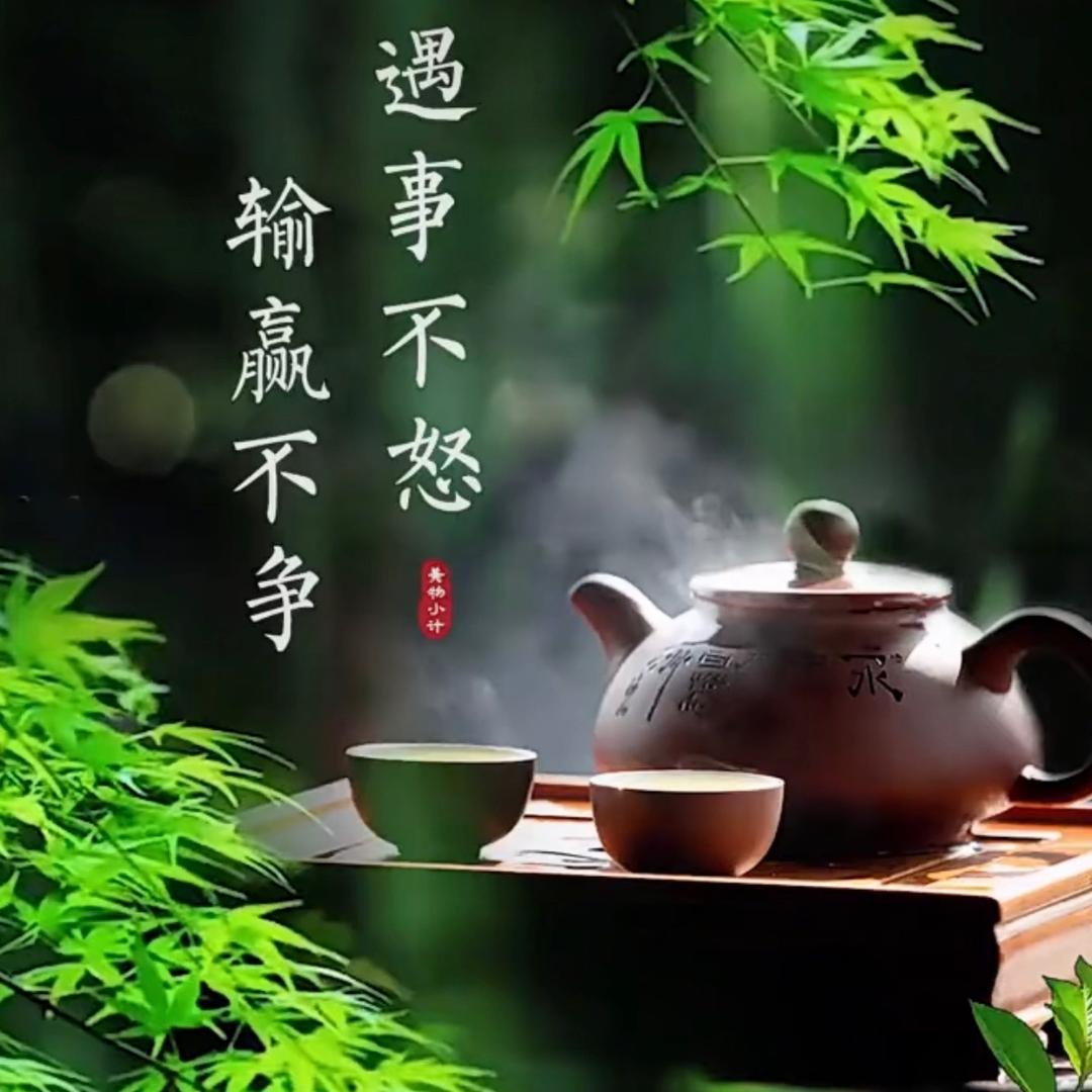 自由的风