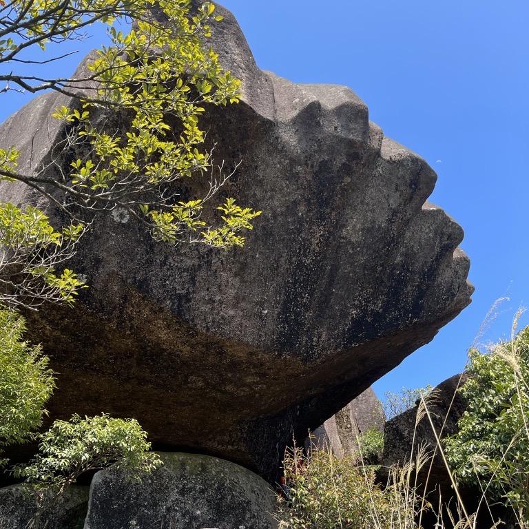 依恋