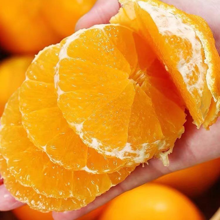 攀枝花沐创果业有限公司