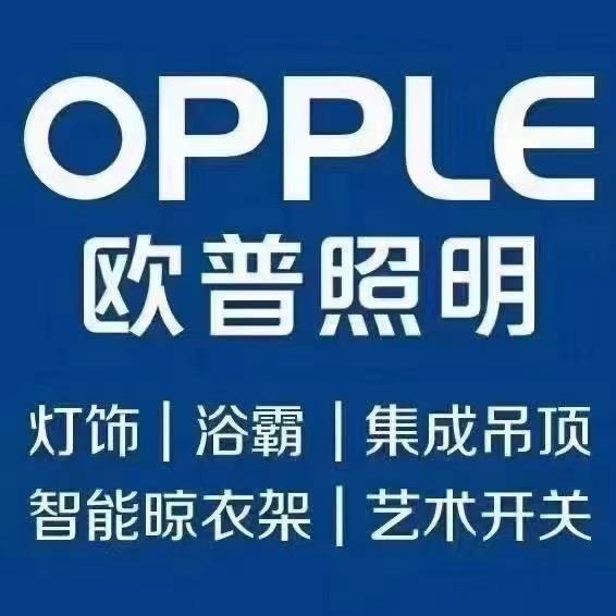 ～凤台县欧普照明～