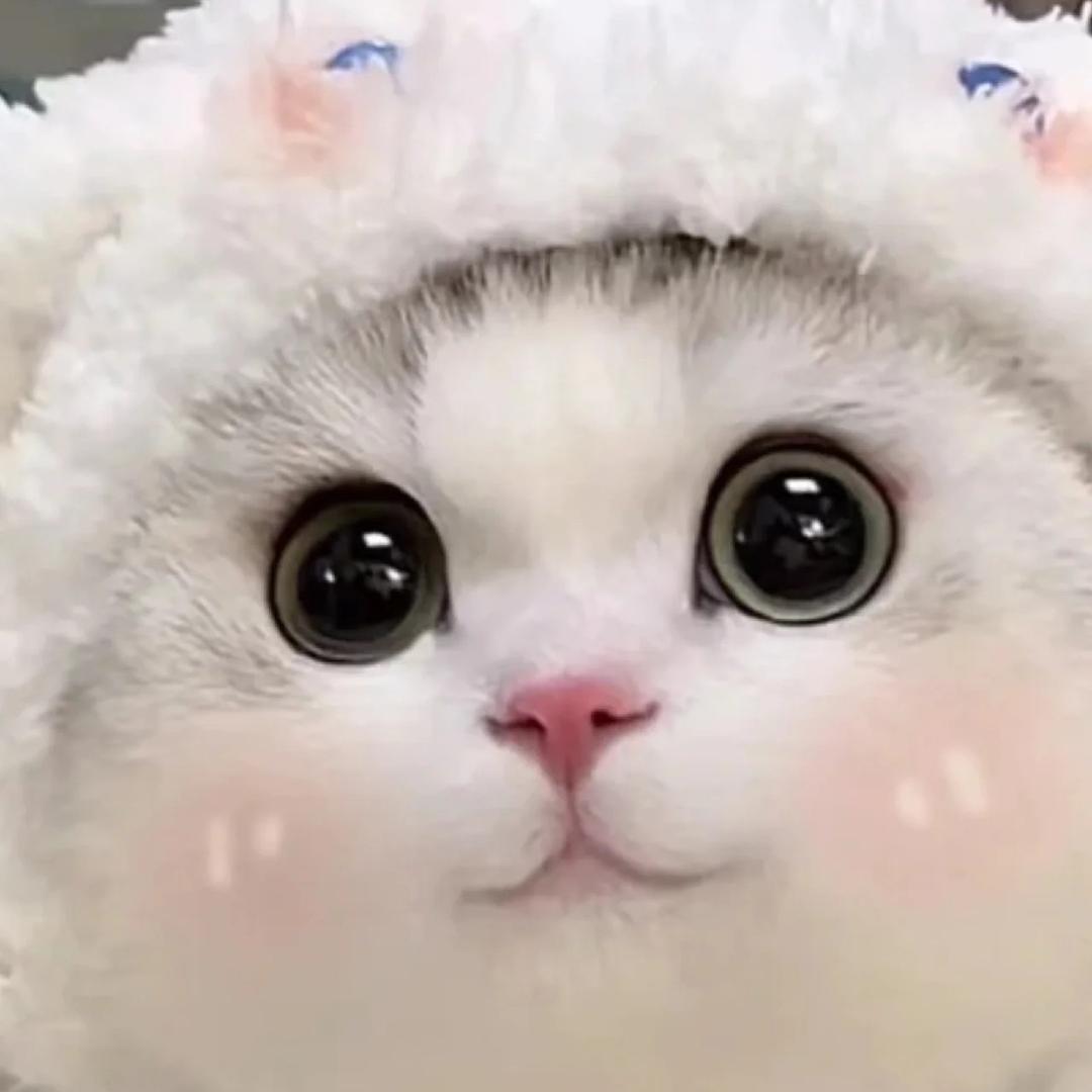 🌈宇