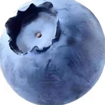 吻痣(蚊子)