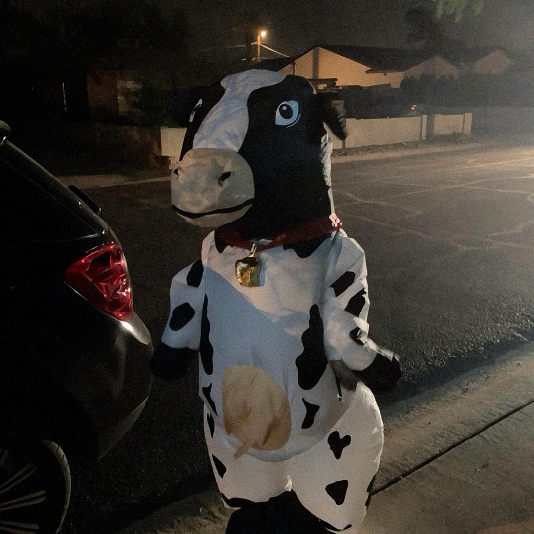 三百块让我爱上你