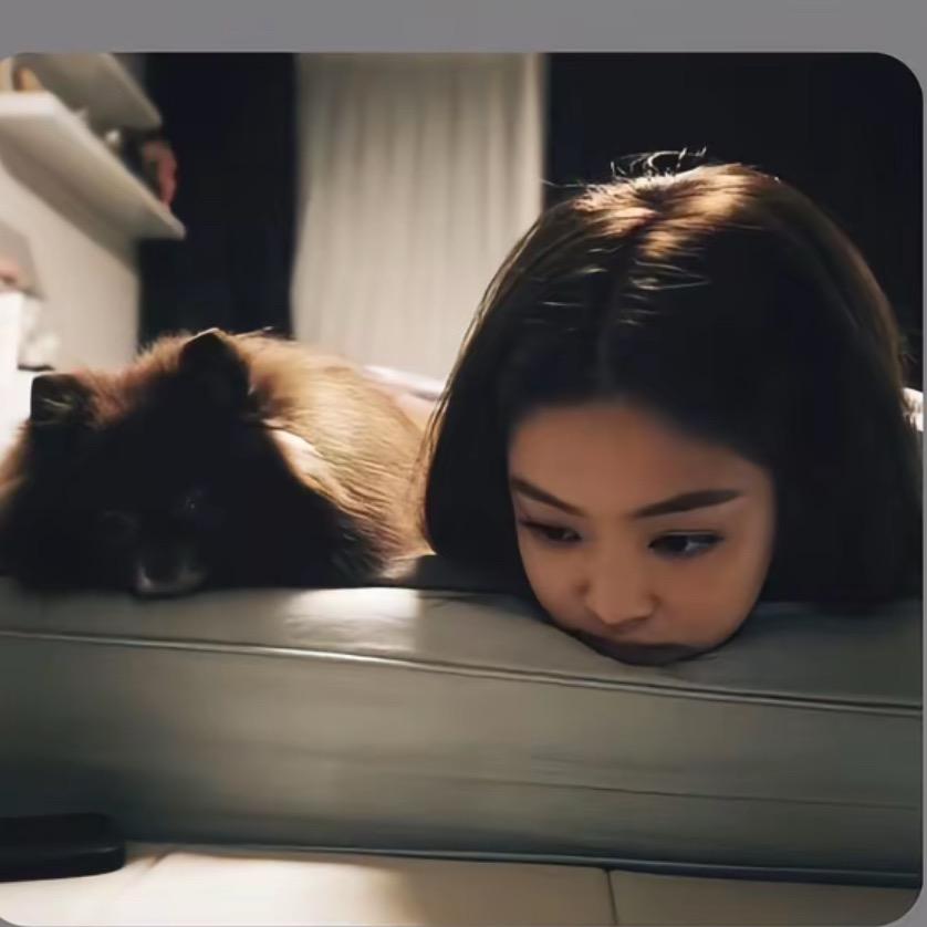 不呆.