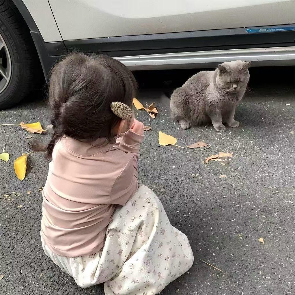 ㅤㅤㅤㅤㅤㅤㅤㅤ