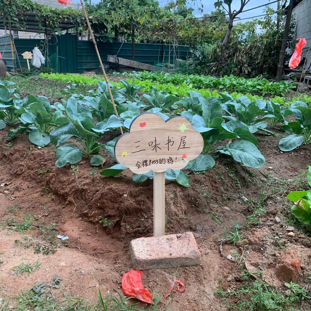 傻傻的瓜