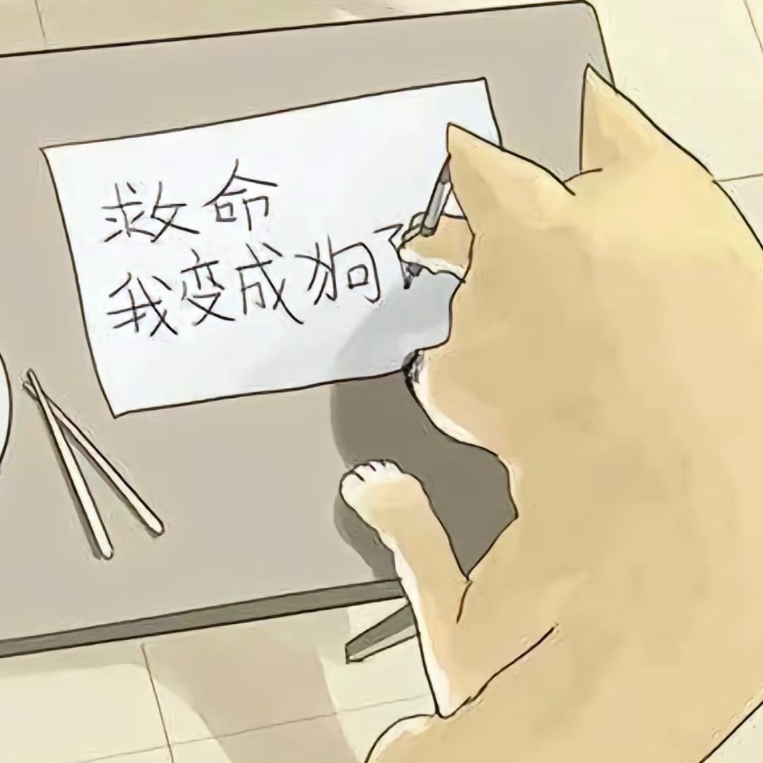 爱看擦边的直男微同偏1 S只做0M
