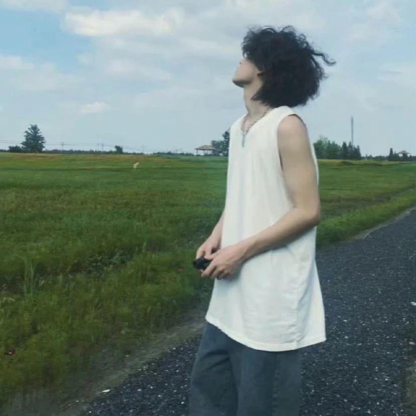 吹不散的蒲公英