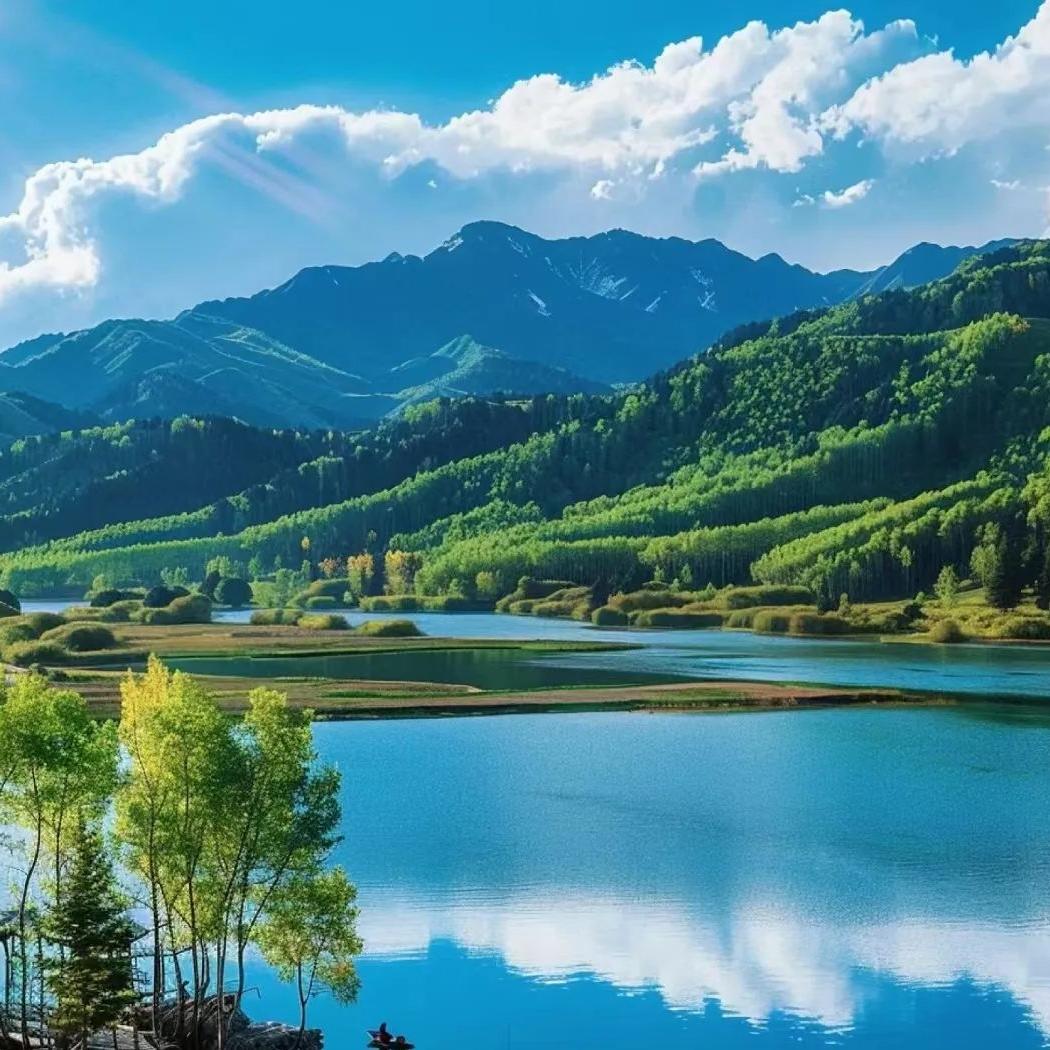 万水千山总是情