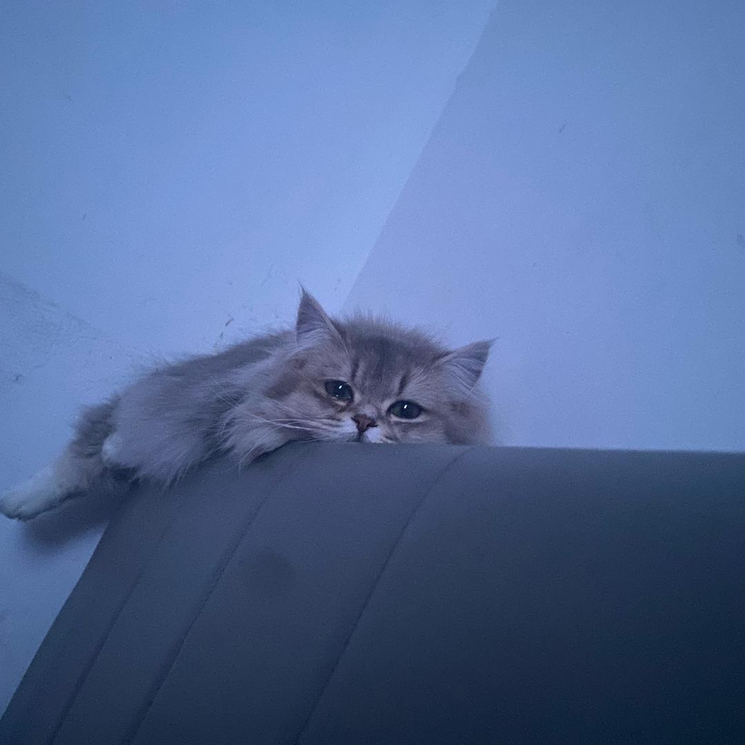 旧人旧城就回忆