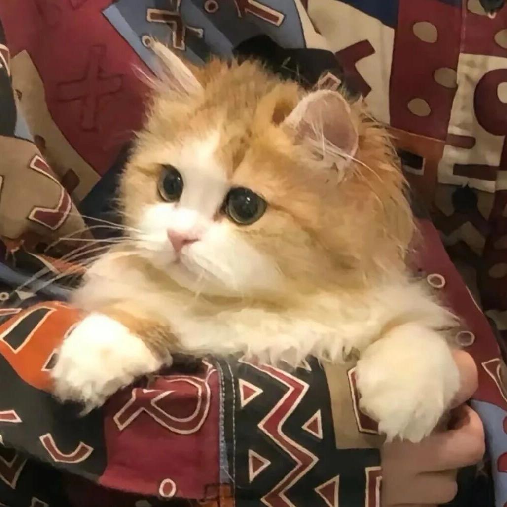 ❤️y.