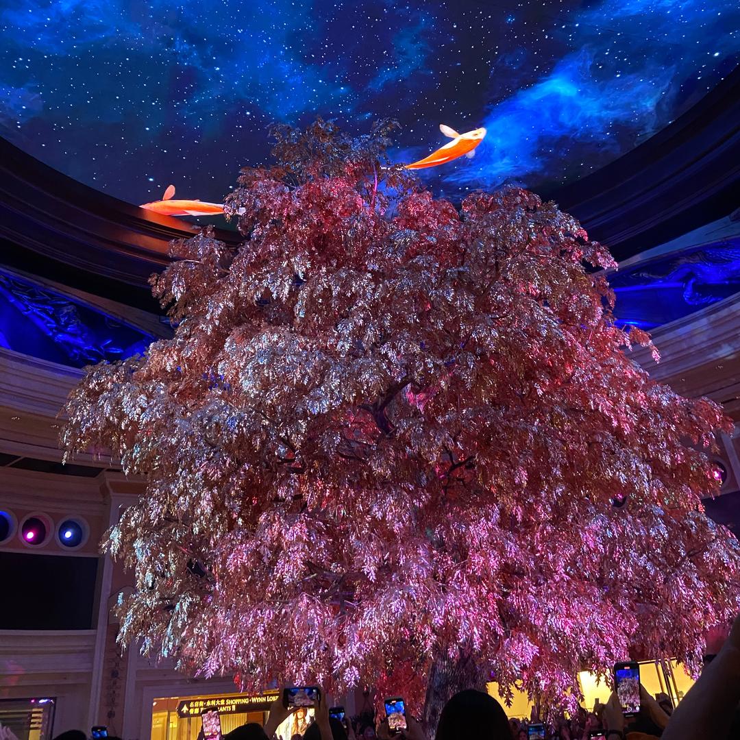 ‼️闭眼入衣库