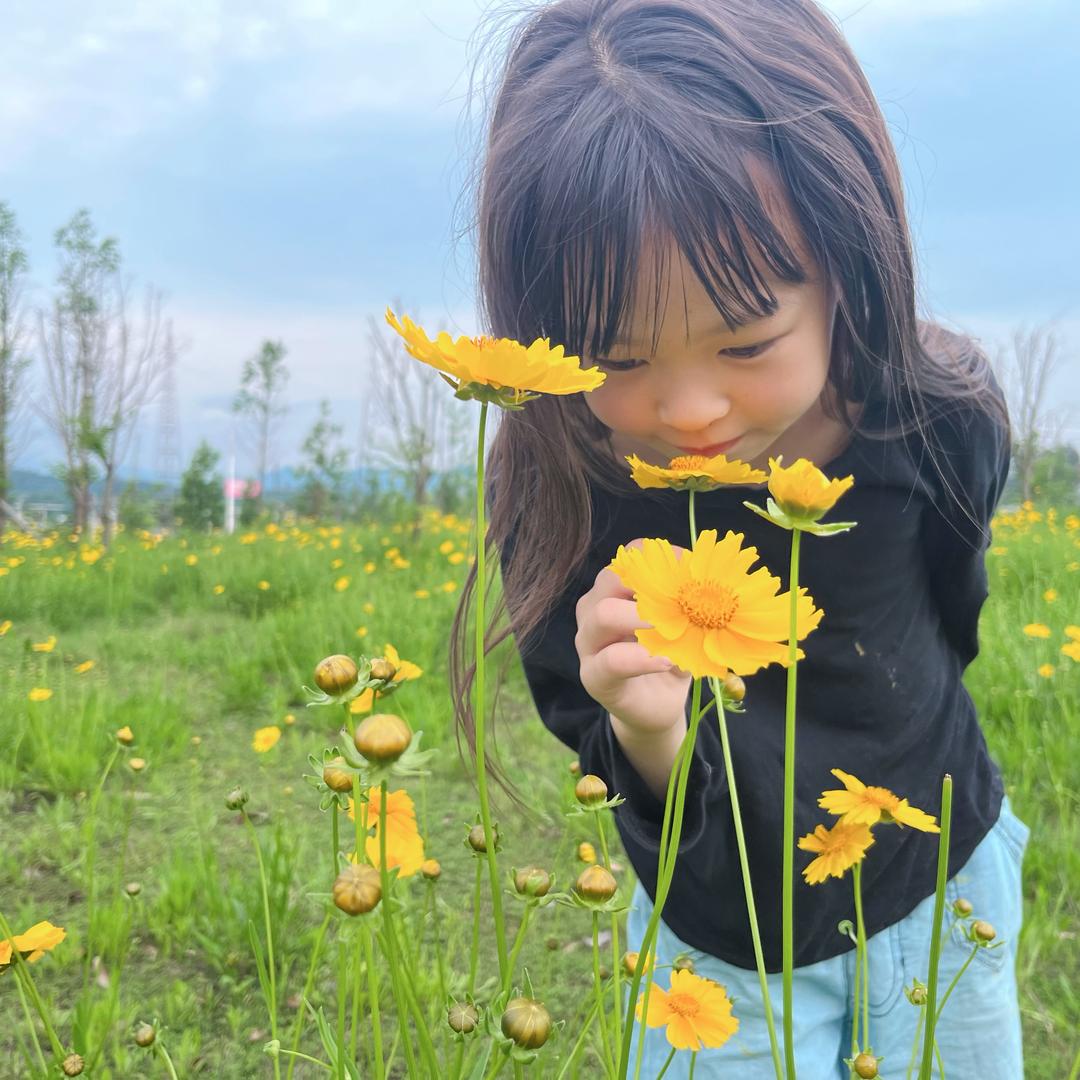 @香蕉你个卟呐呐