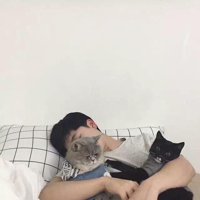 PPZ（流放之路）