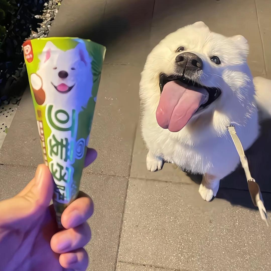 邪恶的大野狼🐺