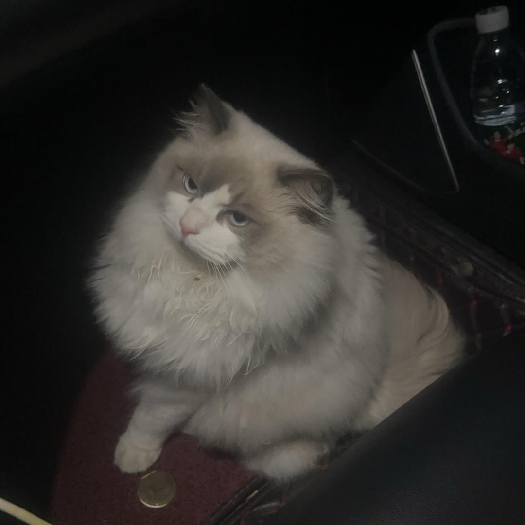 欭惗