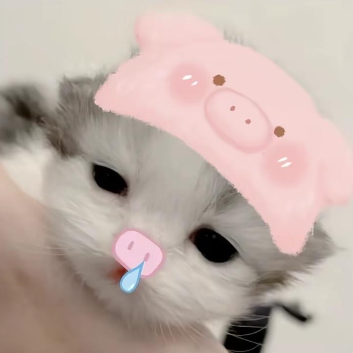 一只兔子.