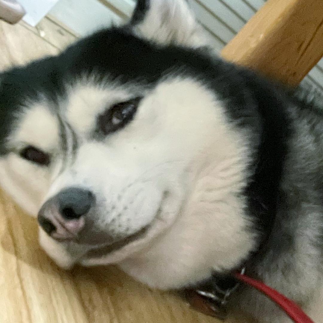 阿来。