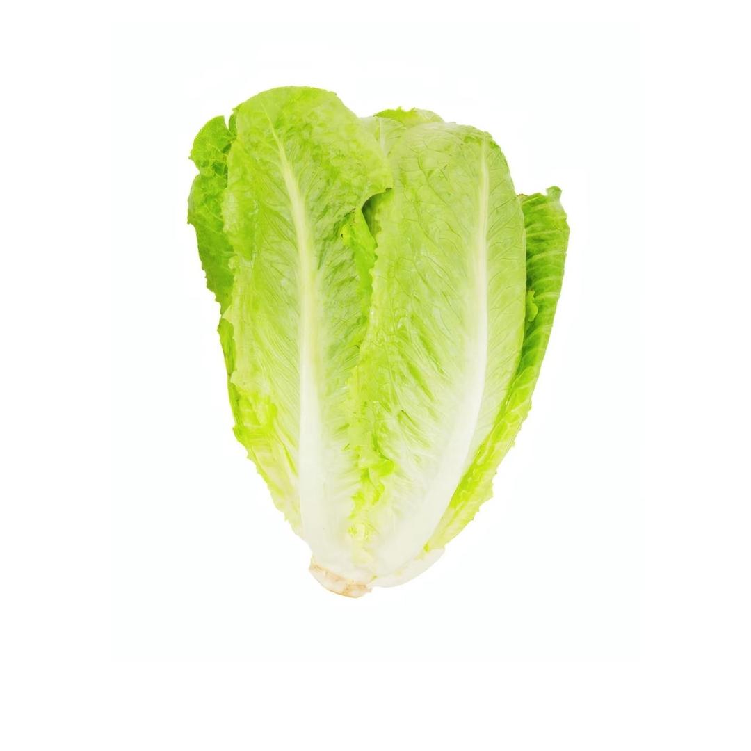 有点好运