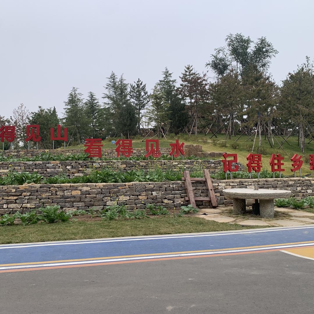 小油菜