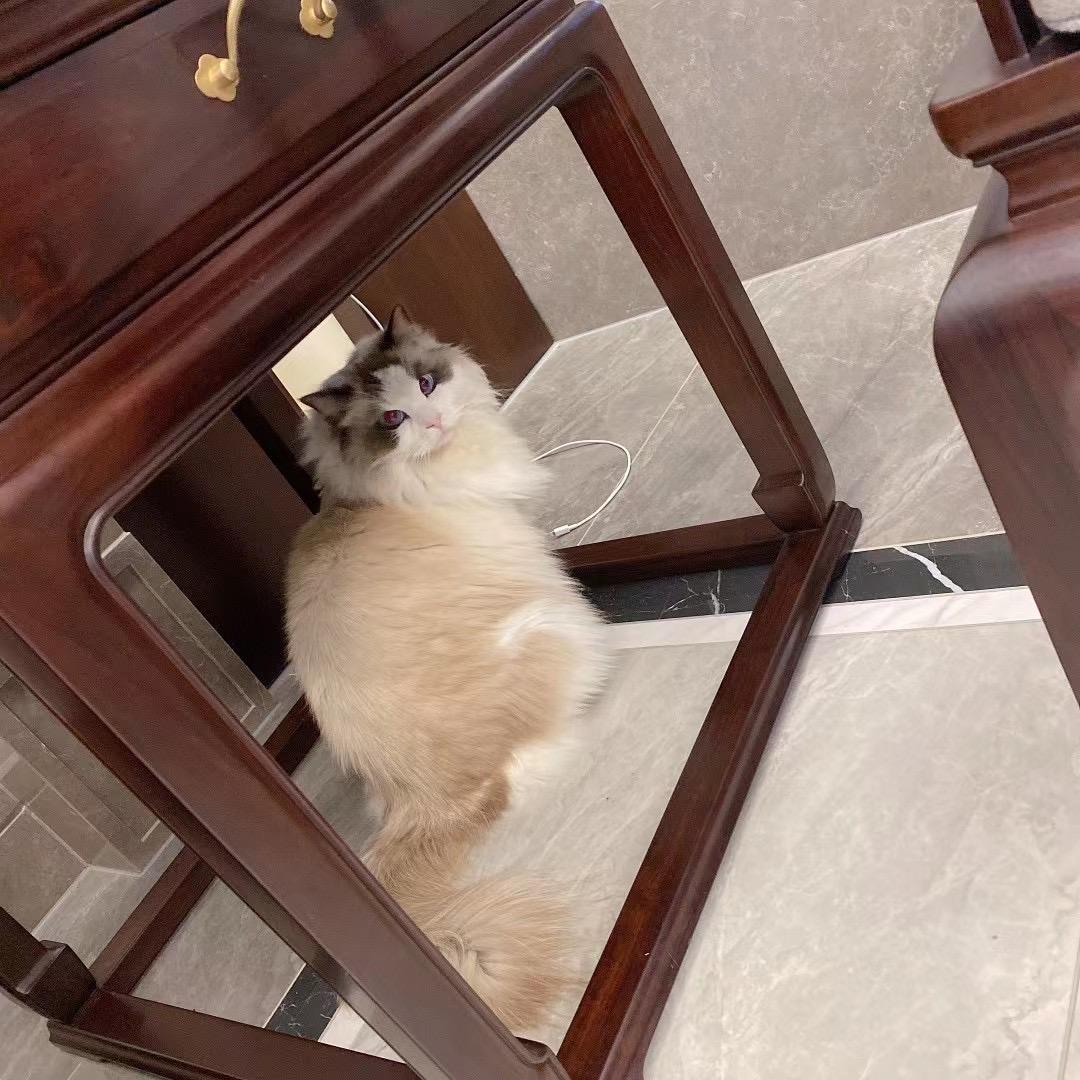 三三美食