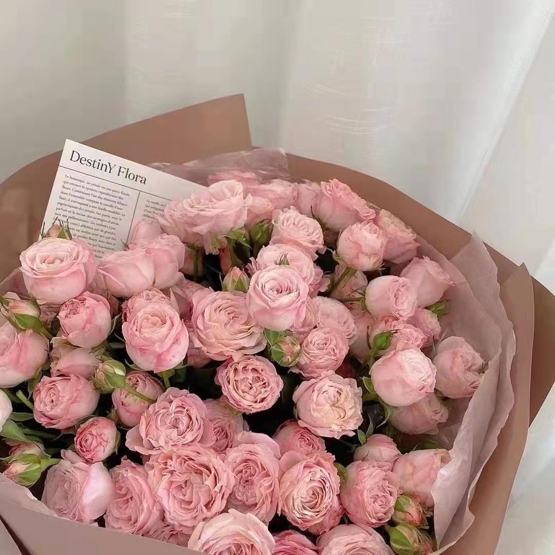 ꒰ঌ.困困瑜.໒꒱