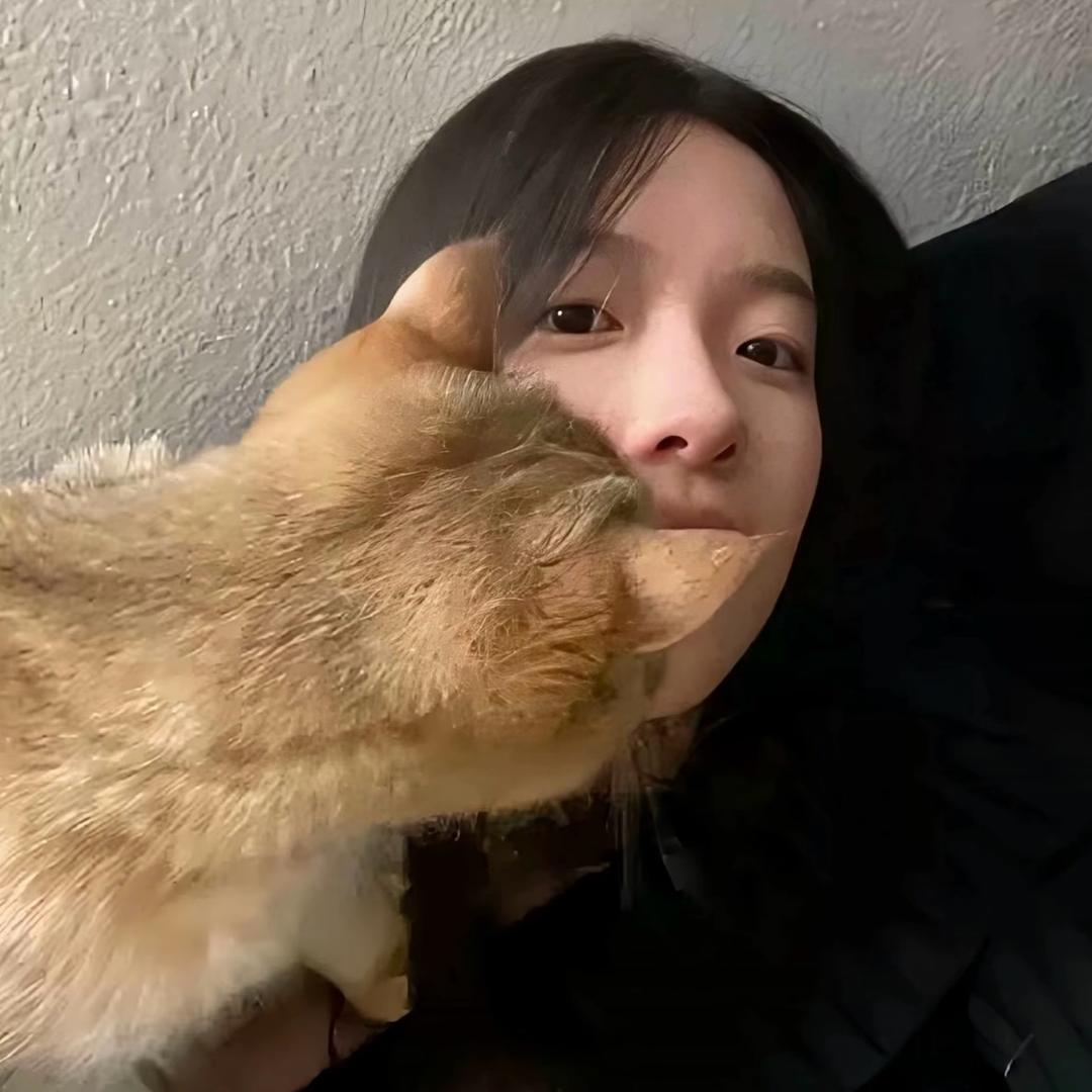 你别无理取闹了