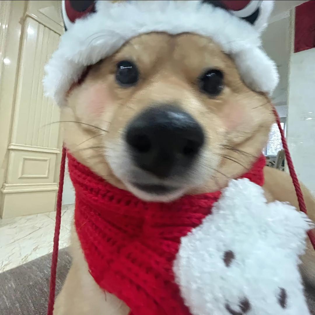娃哈哈哈哈哈哈哈哈矿泉水
