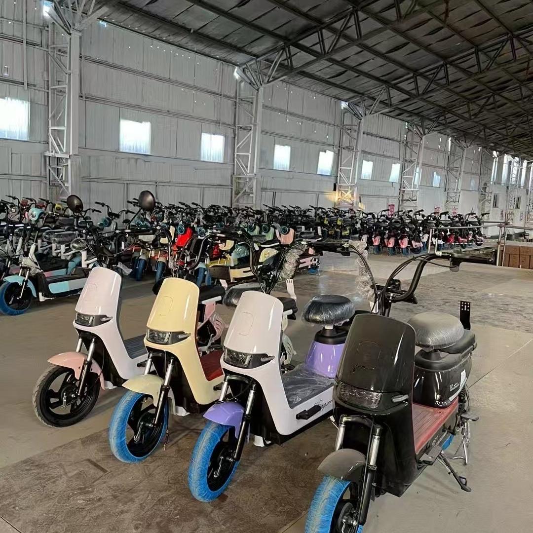 帆创世纪电动车批发部