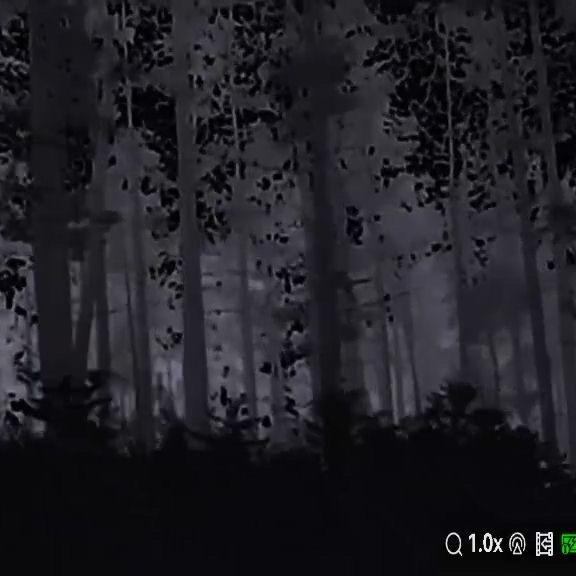 双耳户外探野频道2